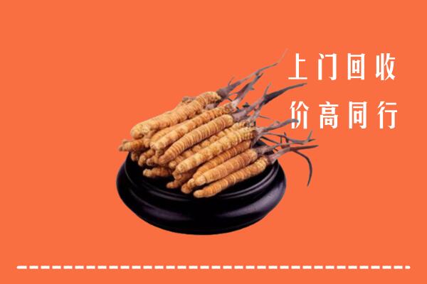 高价求购：普兰县回收散虫草