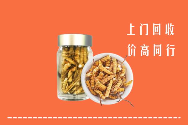 普兰县高价回收冬虫夏草